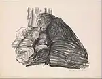 Kollwitz: Städtisches Obdach