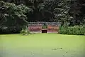 Hufeisenförmiger Teich im Park (vermutlich Rest eines Burggrabens)