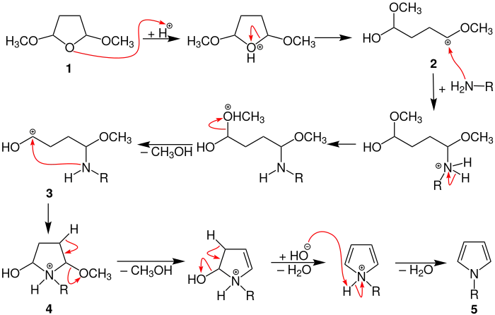 Clauson-Kaas Mechanismus