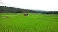 Ziro Valley, Siedlungsgebiet der Apatani