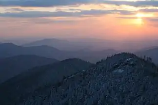 Das Gebirge von der Spitze des Mount Le Conte aus gesehen.