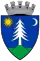 Coa Romania Town Gyergyószentmikló
