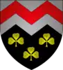 Wappen von Medernach