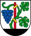 Buus