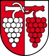 Maisprach