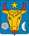 Zeichnung aus den Dokumenten von Sfatul Țării (1918)