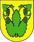 Wappen von Velká Chmelištná