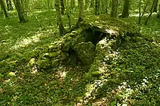 Cohons jungsteinzeitlichen Nekropole im Bois de la Vergentière