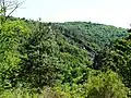 Saut de la bergère