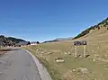 Der auf 1533 m.&nbsp;ü.&nbsp;M. gelegene Col du Chaussy