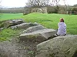 Coldrum Stones