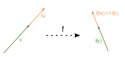 Visualisierung der Verträglichkeit mit der skalaren Multiplikation: Jede Skalierung 
  
    
      
        λ
        v
      
    
    {\displaystyle \lambda v}
  
 bleibt durch eine lineare Abbildung erhalten und es gilt 
  
    
      
        f
        (
        λ
        v
        )
        =
        λ
        f
        (
        v
        )
      
    
    {\displaystyle f(\lambda v)=\lambda f(v)}
  
.