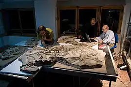 V. l. n. r.: Fernando Escaso, Francisco Ortega und José Luis Sanz am Skelett