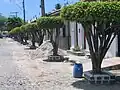 Stadtbild in Conde in Bahia