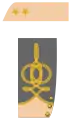 Lieutenant-colonel (Stab)