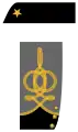 Major (Sanitätsdienst)