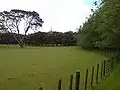 Cornwall Park