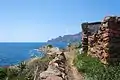 Blick auf Punta Scandola