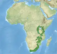 Topografische Karte Afrikas mit eingezeichneter Verbreitung des Geierraben