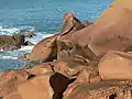 Küste mit rötlichem Granitfelsen
