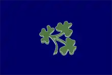 Irish Cricket Union