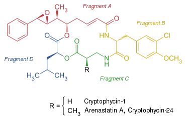 Strukturformel der Cryptophycine Cryptophycin-1 und Arenastatin&nbsp;A