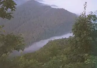 Ein nebliger Morgen am Pinnacle im Cumberland Gap National Historic Park