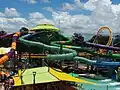 Cyclone (gelb) schlängelt sich durch White Water World