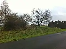 Langdysse 1 und 2