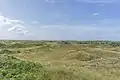 Dünen auf Langeoog