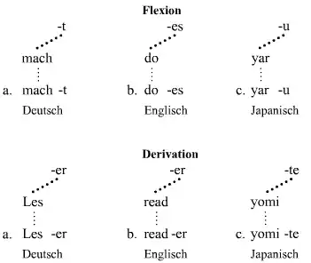 Intra-Wort-Katenae (Flexion und Derivation)