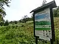 Station 13:Wacholderheide