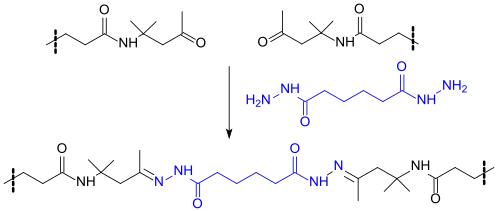 Vernetzung von Diacetonacrylamid-Einheiten mit Adipinsäuredihydrazid