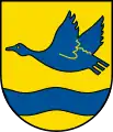fliegende Ente