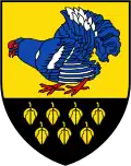 Birkhahn in Twist (Emsland)