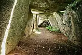 Allée couverte de Kerbannalec - Innenraum