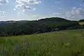 Burg von Südosten bei Wüstems
