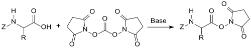 Aktivesterbildung mit Aminosäuren mittels DSC