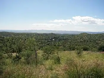 Blick auf Windhoek vom Park