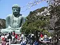 Der Daibutsu zur Zeit der Kirschblüte