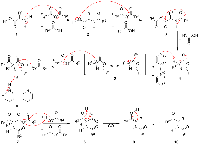 Mechanismus der Dakin-West-Reaktion