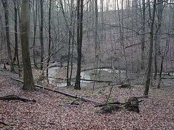 Mäander in der Dalbekschlucht
