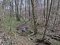 Im Mittellauf, flussaufwärts