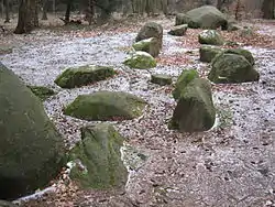 Großsteingrab am Stappenberg am Nordhang der Dammer Berge; direkt dahinter der Pickerweg
