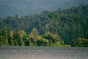 Nationalpark Lore Lindu