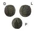 Eier in Dorsal- (D), Lateral- (L) und Polansicht (P)