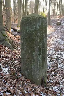 südlich des Meilensteins erkennt man eine langgezogene Senke, alte Straßenführung?