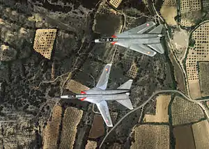 Dassault Mirage „G4“ und „G8“