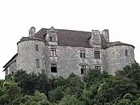 Burg Puycalvary
