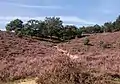 die Posbank